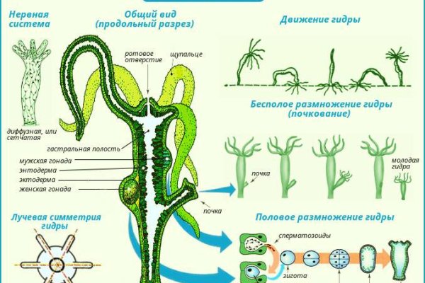 Kraken ссылка для тору