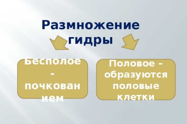 Как найти официальный сайт кракен